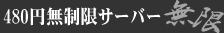 ディスク容量無制限レンタルサーバーの無限（MUGEN)